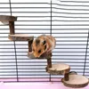 Autres fournitures d'oiseaux Hamster échelle en bois jouet escalade escaliers oiseaux perroquet exercice perches support plate-forme soins des dents molaires jouets cage