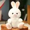 1pc 30cm Super Cute Plush Rabbit Dolls Lovely Sitting Rabbit Plushie Toy Stuffed Soft Animal Pillow Girls Kawaii Birthday Gift