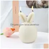 Candele Decorazioni natalizie Guscio d'uovo Candela Muffa Sile Coniglio Resina Mod Fabbricazione di animali Gesso Cioccolato Strumenti di cottura Forniture 220531 Dhdxi