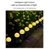 Luci solari da giardino Bolle Lampada da prato Stringa 10 15 20 30 LED Decorazione paesaggistica IP65 LED impermeabili Luci da palo ad energia solare per parco esterno