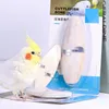 Other Bird Supplies P82D Cuttlebone For Parakeets Cuttle Bone With Metal Holder Birds Chewing Toy Sharp Beaks Natural Calcium Source