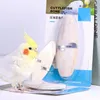 Autres fournitures d'oiseaux P82D Cuttlebone pour perakets osièmes osseux avec porte-métal oiseaux mâchonnent le jouet bec tranchant