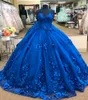 Royal Blue 3D Floral Flowers Ball Gown Quinceanera Prom Dresses Pearls Sweetheart Princess Evening Formal Gowns Sweet 16 Vestidos de