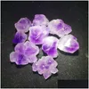 Sacches de bijoux Sacs Sachets Natural Irregar Hexagonal Mineral Spécimen Amethyst Crystal Cluster Stone Aural Healing Decoration Col Dhtj7