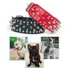 Colliers pour chiens Sangle de cou réglable pour animaux de compagnie Collier en cuir PU Rivets à pointes en métal Cool Punk Collier Ceintures cloutées