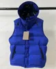 Tops qualité Designer Hommes Parkas À Capuche De Luxe Automne Hiver Style À Manches Longues Vestes Lettres Imprimé Outwears Manteaux En Gros Hommes Femmes Coupe-Vent Vers Le Bas Manteau