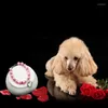 Hondenkragen huisdier accessoires hart strass puppy kat parel ketting love diamant huisdieren honden kraag sieraden