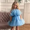 Baby Evening Party Dresses for Girls Toddler Kids Wedding Princess Gown Girl Elegant Birthday Dress Tulle Bridesmaid Clothing