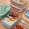 Servis uppsättningar japansk stil delad 304 rostfritt stål lunchlåda bärbar isolerad transparent plaststudent