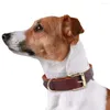 Colliers pour chiens collier de chiot en cuir véritable animal de compagnie pour petits moyens grands chiens vrai berger allemand grand XS-XXL