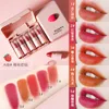 Matte lippenstift 5 stks/doos delicate waterdichte 5 heldere kleuren irritatie-vrije vrouwen lippenstiften voor make-up