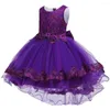 Mädchen Kleider 2022 Kinder Gestickte Trailing Show Party Kleid Mode Spitze Blume Junge Peng Gebohrt Hochzeit