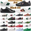 ggsgg uomini donne scarpe casual perforate perforato sneakers in pelle di serpente perforato Sneakers in pelle Ace Ace Recamites Stripes e allenatori sportivi da uomo da uomo Sneaker tiger