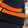 Fashion Luxury Brand Men V Scarf Wool Scharpes châles designer Lady Wraps Pashimina femelle Echarpe4644692