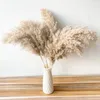 Christmas Decorations Natural Dryness Wedding Reed Bouquet For Home Party And Ornament