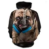 Sweat à capuche pour hommes, mignon Labrador chien Animal décontracté imprimé en 3D, sweat-shirt à la mode/veste Cool pour femmes de rue, 2022