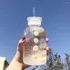 Su Şişeleri Cam Şişe Siparişi Yaratıcı Daisy Buzlu/Şeffaf Bardak Sızdırmaz Taşınabilir İçme Sızdırmazlık Kapağı Kapağı