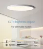 0.9 pouces Ultra Mince Smart LED Plafonniers Lampe APP/Télécommande Dimmable Lustre Lumière pour la décoration de salon