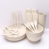 Conjuntos de cubiertos 28 PCS Plastic Sostenible reutilizable y cucharas de set de paja de trigo personalizado logotipo