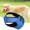 Colliers pour chiens, ceinture de jambe pour animaux de compagnie, réglable, confortable, élastique, anti-chute, marche assistée, roulement solide, harnais souple portable pour la récupération