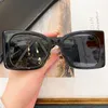 Bayan Günlük moda Güneş Gözlüğü SL M119/F kadın Lüks tasarımcı tatil gözlükleri Orijinal kutusuyla Günlük moda Boyut 53-19-135