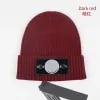 vendita all'ingrosso 2013 Cap Designer Lettera Jacquard Beanie Island Uomo Donna Calda lana lavorata a maglia Cappello Berretti da sci unisex