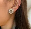 Orecchini con strass di cristallo dello stilista Orecchini con perno dell'orecchio arete hanno timbri in materiale superiore in ottone Gioielli da donna per la festa nuziale2195