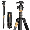 TRIPODS Q666 Professionele DSLR Camera Tripod Alluminum Legering Travel draagbare afneembare monopod 62''inch 360 graden balhoofd