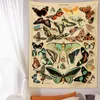 Tapisseries Papillon Illustration Graphique Tapisserie Vintage Esthétique Coloré Tenture Murale