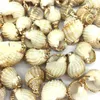 Charms 5 In Natural Shell Pendant Conch Shape Making Necklaces Bracelets And Earrings For DIY 15x25-12x20mm Package Sale