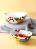 Tigelas tigelas americanas tigela de cerâmica salada de frutas domésticas oval mesa de mesa grande restaurante ramen decorativo