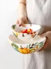 Kaseler Amerikan Seramik Kase Ev Meyve Salatası Oval Mutfak Takımları Büyük Restoran Ramen Dekoratif