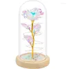 야간 조명 어머니의 날 꽃 선물 화려한 인공 꽃 은하 장미 장미 딸의 유리 돔에 LED 조명