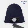 도매 2013 캡 디자이너 편지 Jacquard Beanie Island 남자 여자 따뜻한 양모 니트 모자 유니슬 Ski 모자