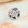 925 Sterling Silver Openwork Family Roots Bead past Europese Pandora Jewelry Charm -armbanden