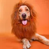 Hondenkleding huisdier kostuum pruik accessoires cosplay prop lion manen groot ras labrador golden retriever