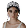 Feestelijke bruiloft tiara oorbellen set zilveren bloemen barokke bruids hoofdtoets kroon strass strass rhinestone met bruiloft sieraden haaraccessoires kronen hoofddeksels