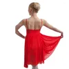 Stage Wear Sexy Rouge Adulte Ballet Robe Lycra Corps W / Deux Couches Jupe En Maille Haute Qualité Dancewear Ballerine Danse Pratique / Formation