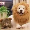 Katkostuums 2022 Leuke leeuwenman pruik Pet kleine hond katten kostuum cap hoed voor honden chique cosplay speelgoedbenodigdheden