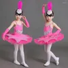 Scene Wear Sequin blet Tutu Swan Dance Kirt Girls Platter Dancing Dress for Kids White Pink Children Danse Classique Enfant