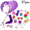 Giocattoli per gatti 17 pezzi Legendog Toy tipi assortiti Teaser Ball Tunnel peluche colorato piuma finta divertente