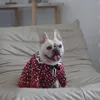 Vêtement d'hiver pour petit chien - Pull pour temps froid - Tricot classique à col roulé - Vêtements chauds et épais pour Chihuahua, bouledogue, teckel, carlin, Yorkie, rouge, A508