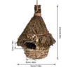 Другие птицы поставляют руку с тканым домом Колибри для гнездования возле маленького висящего идеального садового патио.