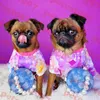 Designer kleurrijke huisdieren t -shirt hondenkleding brief afdrukken pet trui trend honden sweatshirt vakantie stijl hondenkleding