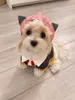 Anime Costumes Spy Family Anya Forger Cosplay Hoodie With Hat Cat Dog Pet Clothes