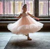 Vestidos de menina vestido princesa garotas tutu malha de aniversário baile beddler bebês crianças garotas elegantes roupas de festa de casamento crianças batismo