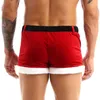 Underpants Mens Christmas Lingerie Underwear Carnival Holiday Party Outfit Velvet Boxers Briefs Wide Elastic Waistband Bulge Pouch Shorts