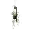 Lampes suspendues LED nordiques lumières Vintage industriel vent LOFT lampe salle à manger créative plante décoration éclairage suspendu