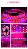 Full Spectrum LED Grow Lights Phytolamp för plantor Red Blue 5M/Roll DC 12V Phytototape för växter Vattentät 5050 Chip 5-20meter