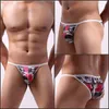 Underpants Men Sexy Briefs Low Waist Lingerie Male Panties Striped Underwear Mesh Erotic Thong Man Breathable Hip Lifting Shorts